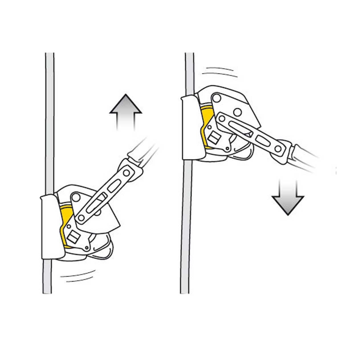 Petzl ASAP LOCK Kernmantle Mobile Fall Arrester from GME Supply