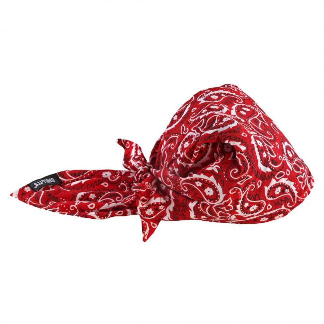 Ergodyne 6710CT Chill-Its Cooling Triangle Hat w/ Cooling Towel from GME Supply