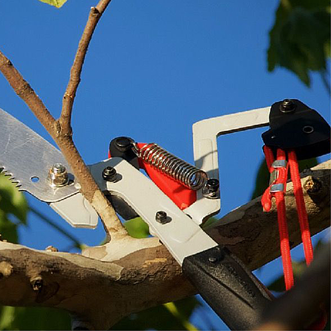 Corona DualLink 14 Foot Tree Saw and Pruner from GME Supply