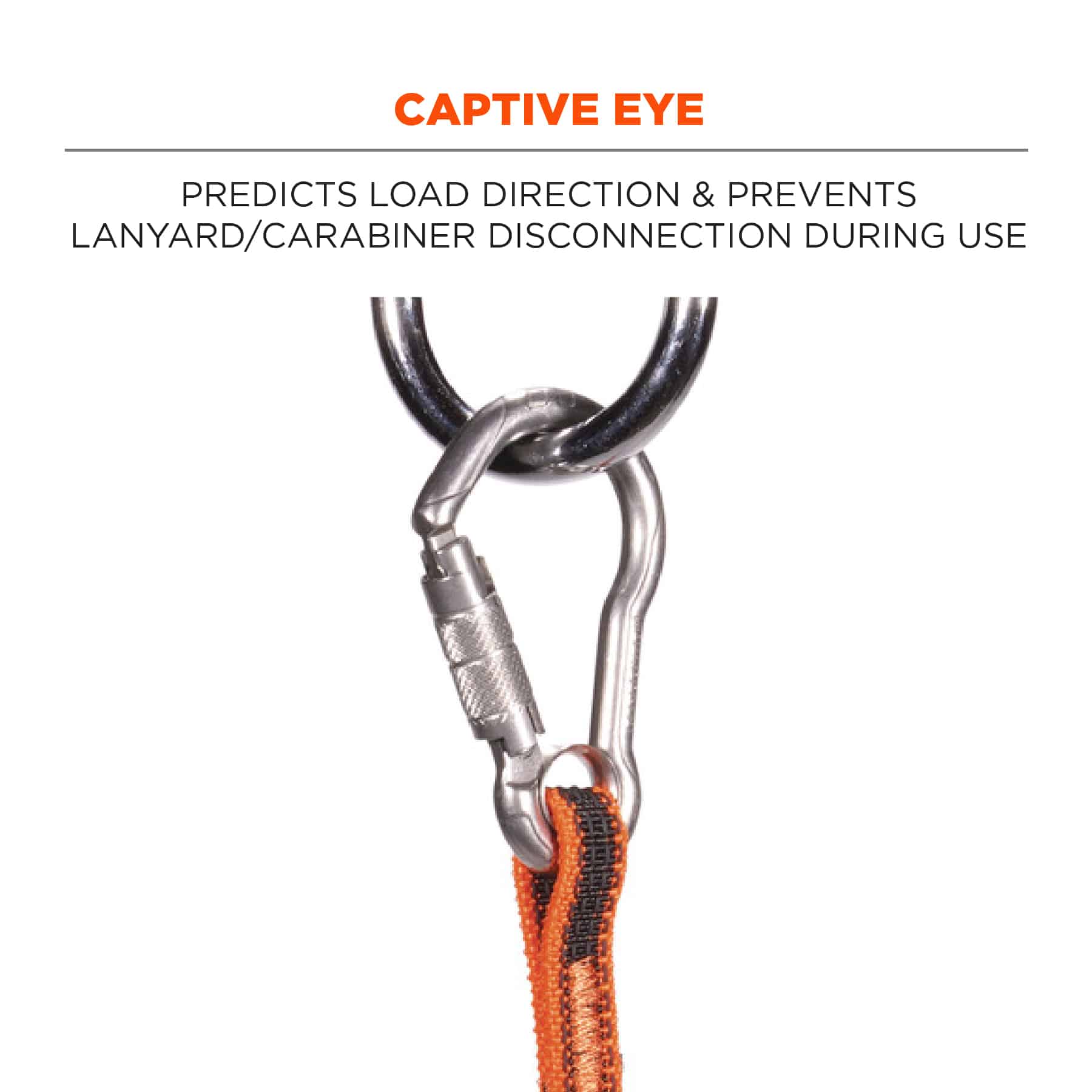 ERGODYNE Squids 3101F(x) Tool Lanyard Stainless-Steel Carabiner and Loop 15lbs from GME Supply