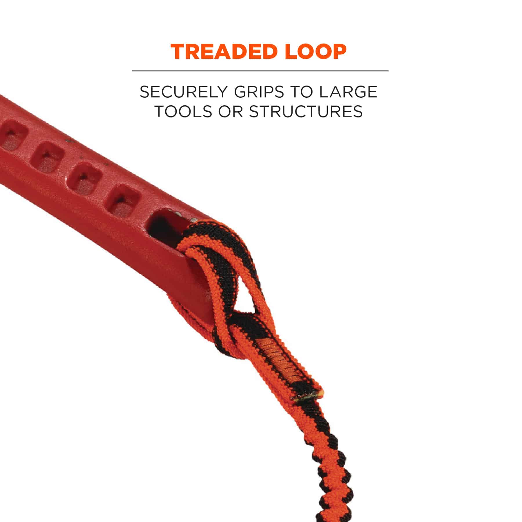 ERGODYNE Squids 3101F(x) Tool Lanyard Stainless-Steel Carabiner and Loop 15lbs from GME Supply