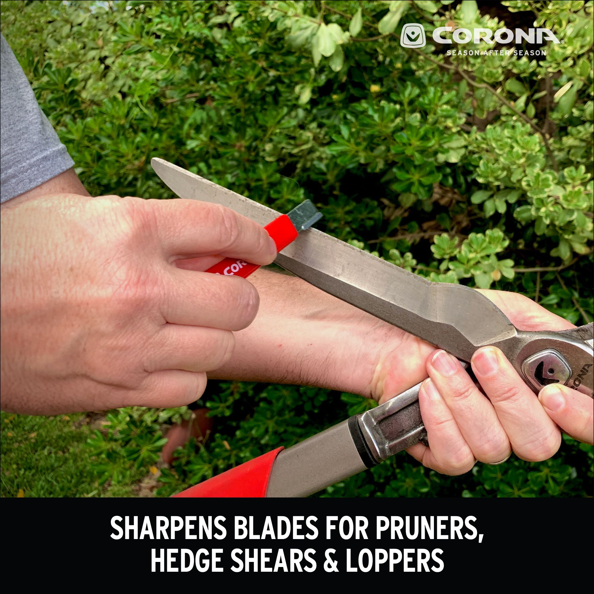 Corona Sharpening Tool from GME Supply