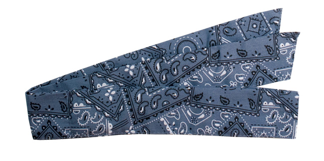 PP-393-100-CBL