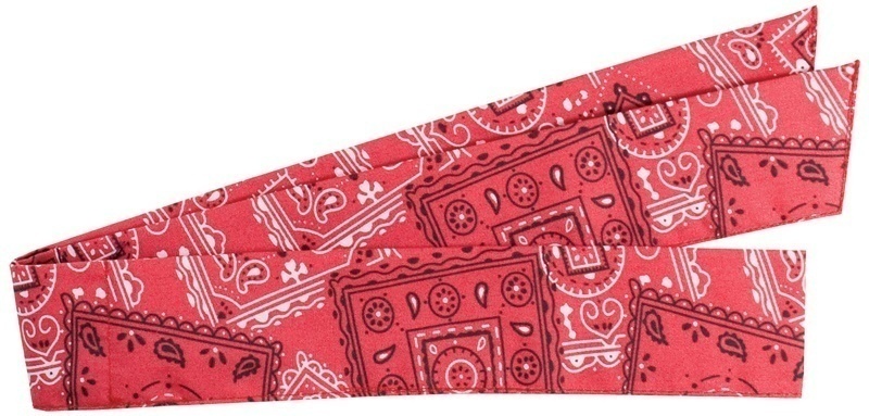 PIP 393-100 EZ Cool Evaporative Cooling Bandana from GME Supply