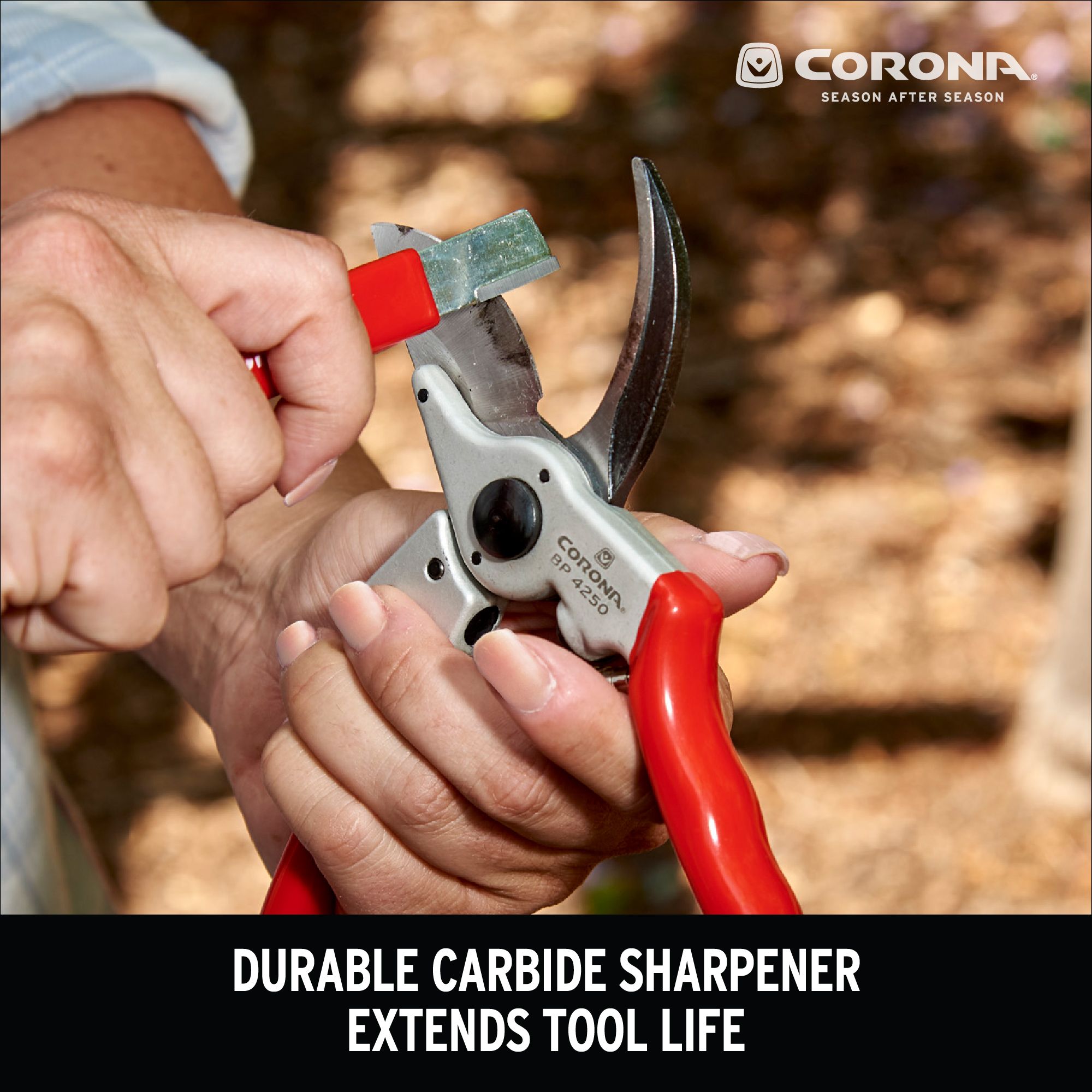 Corona Sharpening Tool from GME Supply