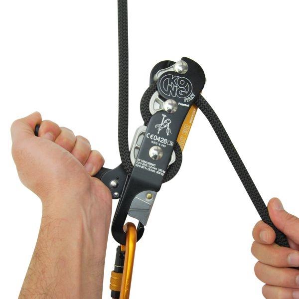 Kong Indy Evo Plus from GME Supply