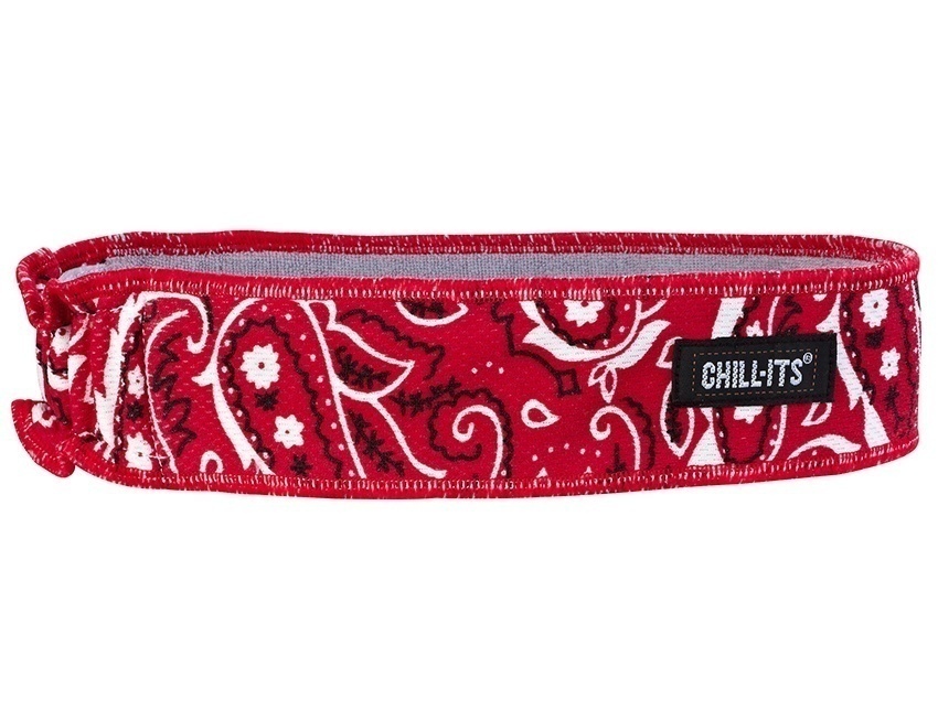 Ergodyne 6605 Chill-Its High Performance Headband from GME Supply