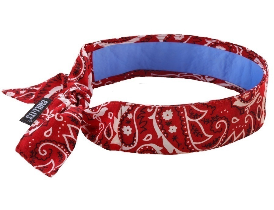 Ergodyne 6700CT Chill-Its Cooling Bandana w/ Cooling Towel  from GME Supply