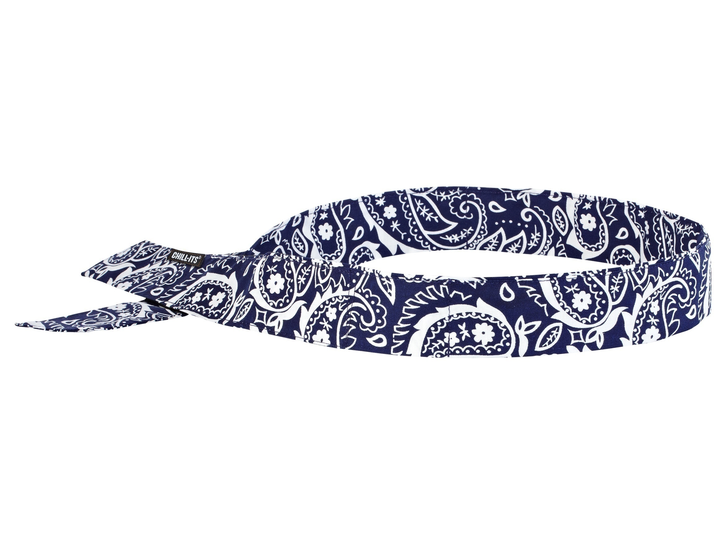 Ergodyne 6705 Chill-Its Cooling Bandana w/ Polymers from GME Supply