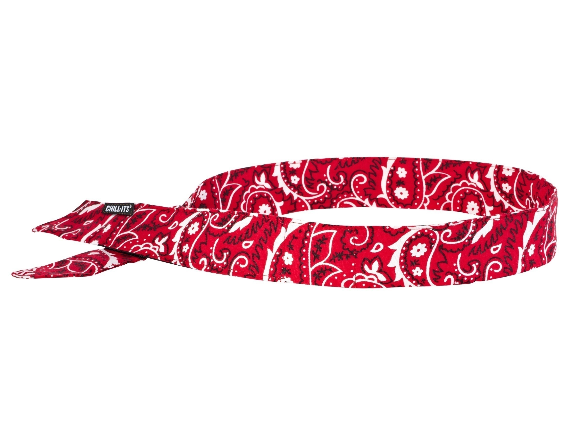 Ergodyne 6705 Chill-Its Cooling Bandana w/ Polymers from GME Supply