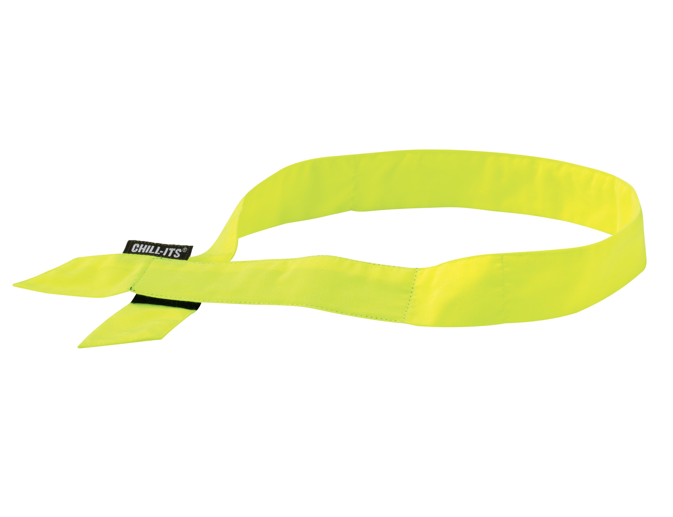 Ergodyne 6705 Chill-Its Cooling Bandana w/ Polymers from GME Supply