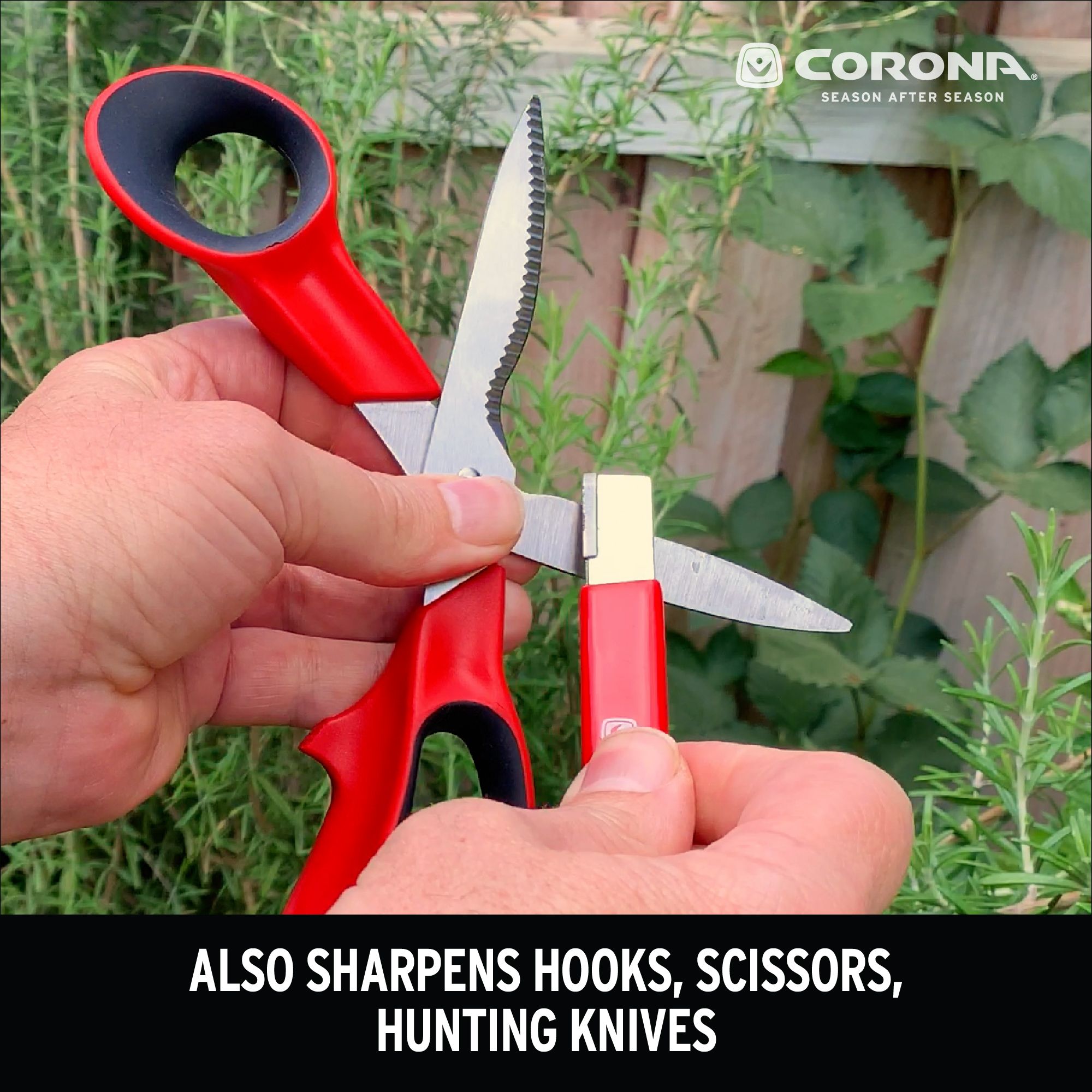 Corona Sharpening Tool from GME Supply