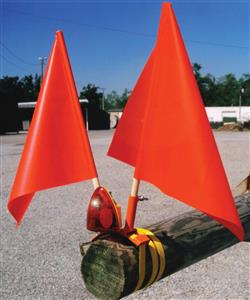 Pole Bug LED Strobe Light & 2-Flag Holder from Columbia Safety