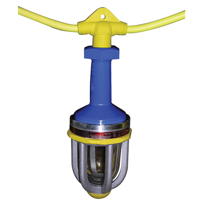 Jameson LED Explosion Proof String Lights, 100 Foot String from GME Supply